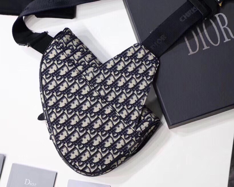 Dior Men's Saddle Belt Bag In Oblique Canvas 880