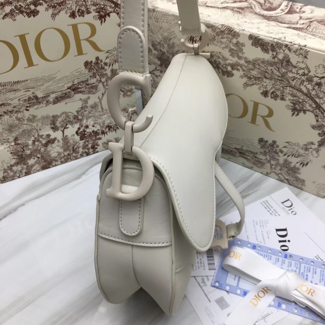 Dior Saddle Bag In White Matte Calfskin 451