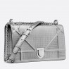 Dior Diorama Bag In Silver Metallic Calfskin 748