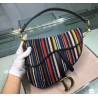 Dior Saddle Canvas Bag Embroidered With Multi-coloured Stripes 778