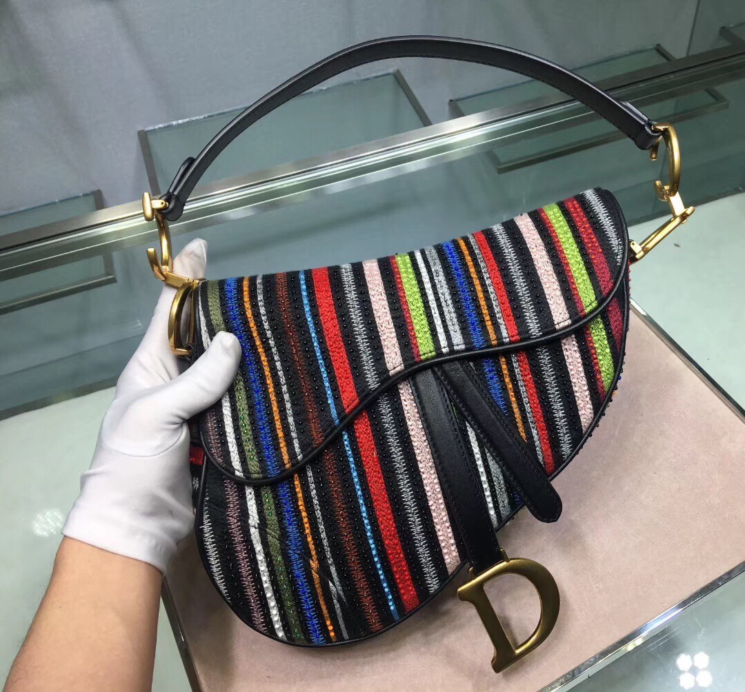 Dior Saddle Canvas Bag Embroidered With Multi-coloured Stripes 778