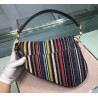 Dior Saddle Canvas Bag Embroidered With Multi-coloured Stripes 778