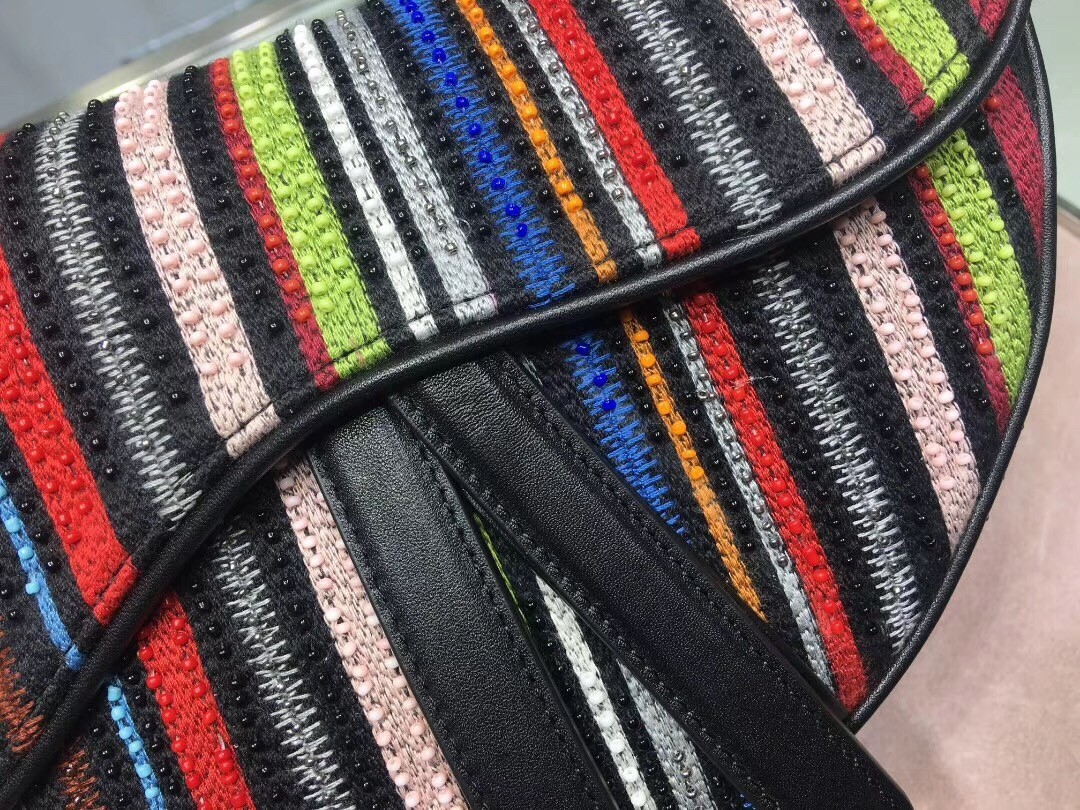 Dior Saddle Canvas Bag Embroidered With Multi-coloured Stripes 778