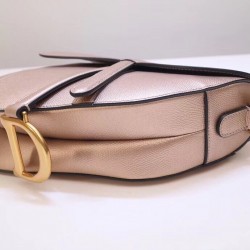 Dior Saddle Bag In Champagne Metallic Grained Calfskin 435