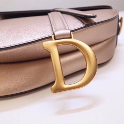 Dior Saddle Bag In Champagne Metallic Grained Calfskin 435