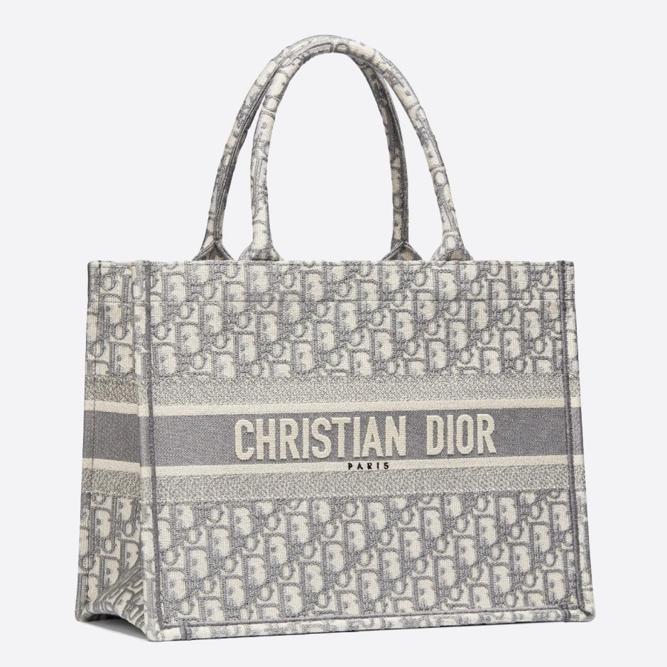 Dior Small Book Tote Bag In Grey Oblique Canvas 179