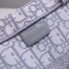 Dior Small Book Tote Bag In Grey Oblique Canvas 179