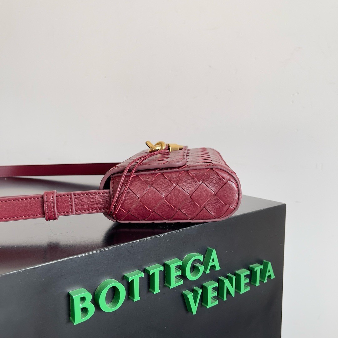 Bottega Veneta Mini Andiamo Cross-Body Bag in Barolo Intrecciato Lambskin 354