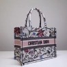 Dior Small Book Tote In Multicolor Rosa Mutabilis Embroidery 005