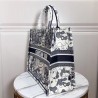 Dior Book Tote Bag In Blue Around The World Embroidered Canvas 722