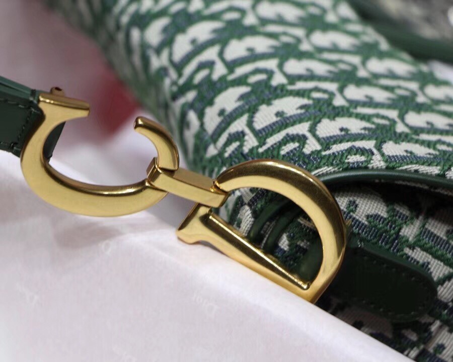 Dior Saddle Bag In Green Oblique Jacquard Canvas 140