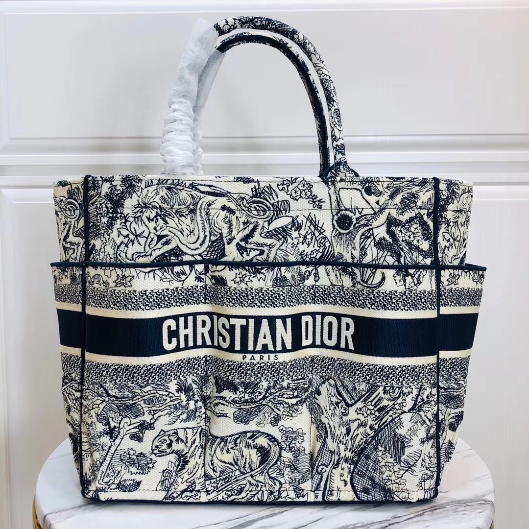 Dior Catherine Tote Bag In Blue Toile de Jouy Embroidery 491