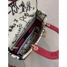 Dior Medium Lady D-Lite Dioramour Graffiti Embroidery Bag  117