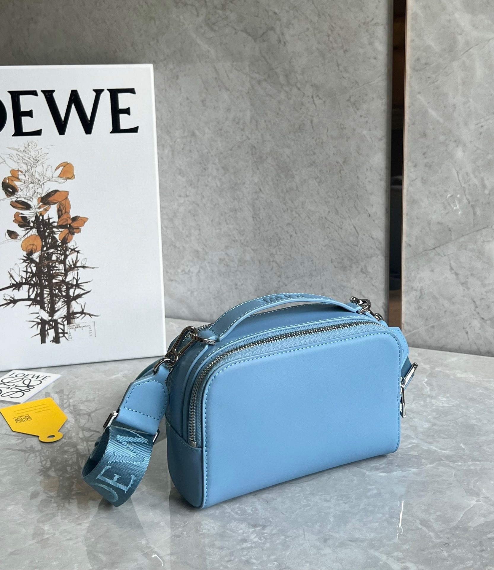 Loewe Mini Camera Crossbody Bag in Blue Calfskin 870