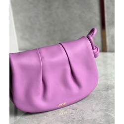 Loewe Paseo Satchel Bag in Rockrose Nappa Leather 162