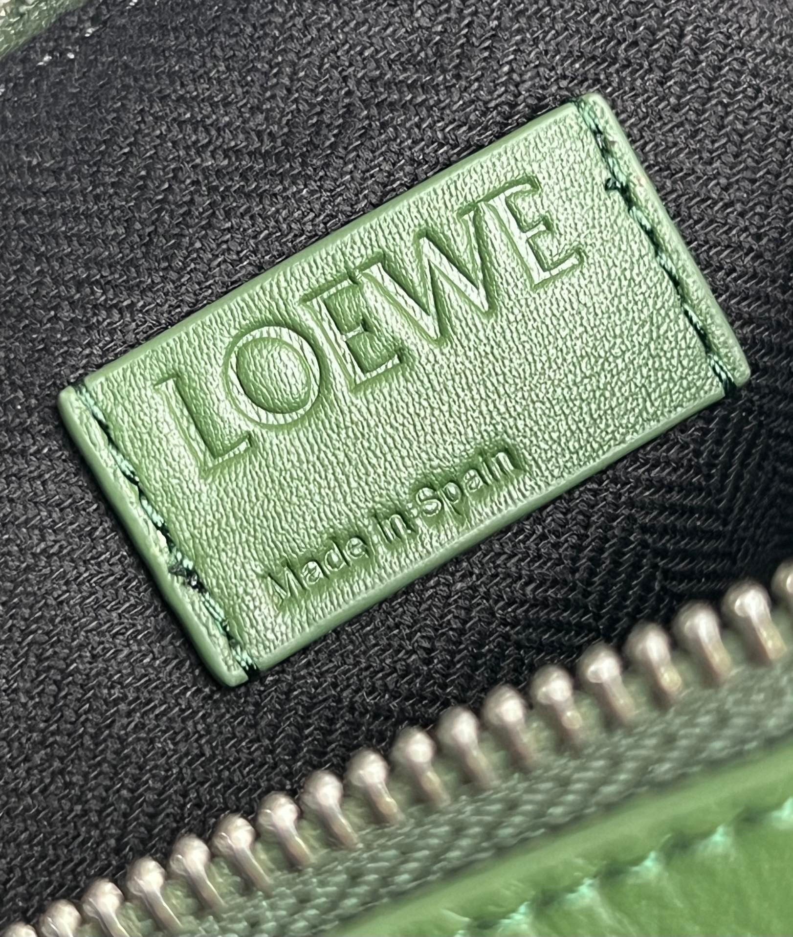 Loewe Cubi Small Bag in Green Calfskin and Jacquard  181