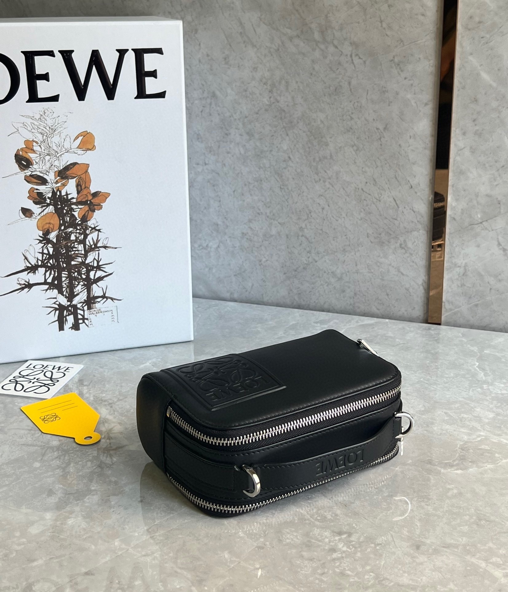 Loewe Mini Camera Crossbody Bag in Black Calfskin 231