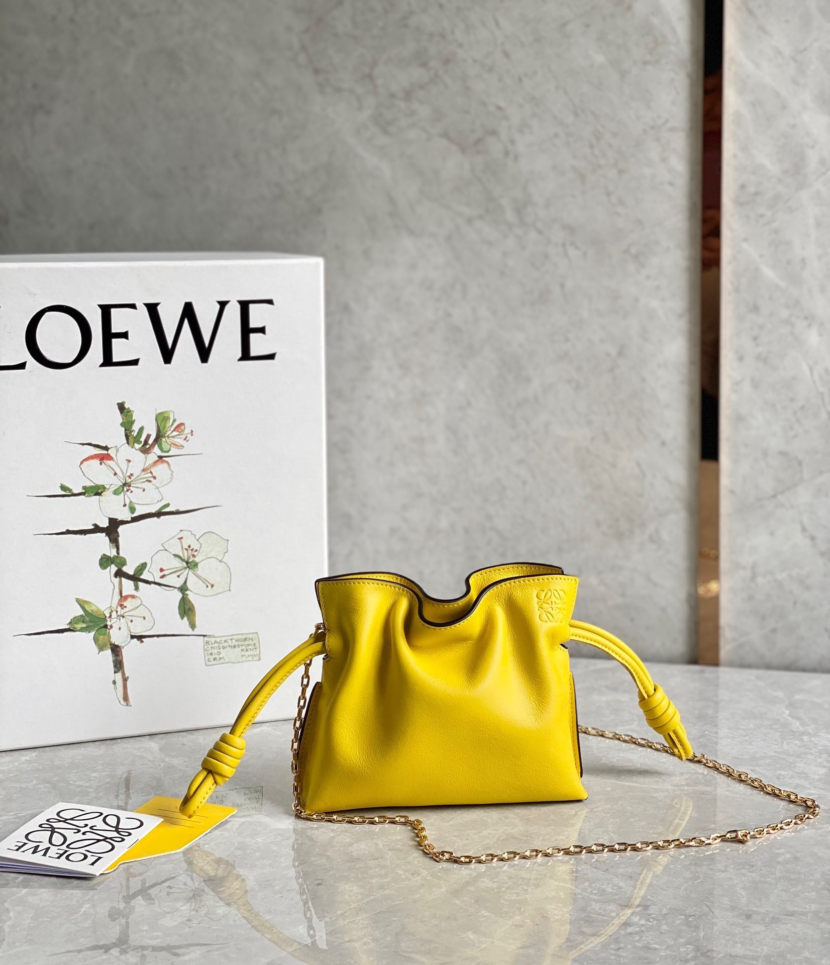 Loewe Flamenco Nano Clutch In Yellow Nappa Leather 607