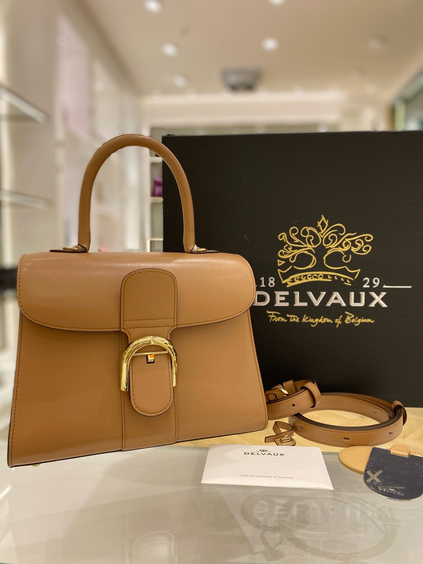 Delvaux Brillant PM Bag in Tender Beige Box Calf Leather 163