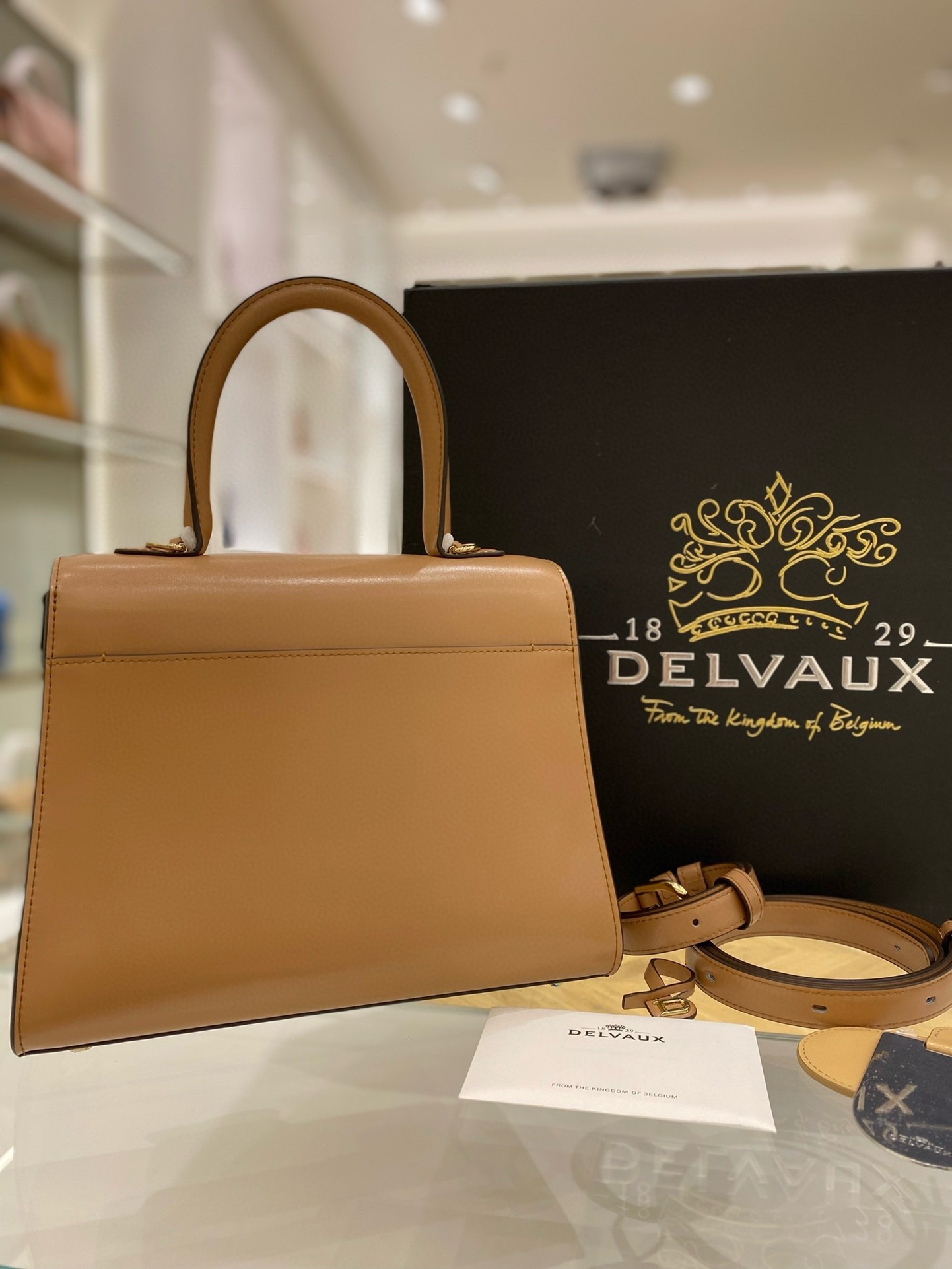 Delvaux Brillant PM Bag in Tender Beige Box Calf Leather 163