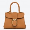 Delvaux Brillant Mini Bag in Brown Rodeo Calf Leather 193