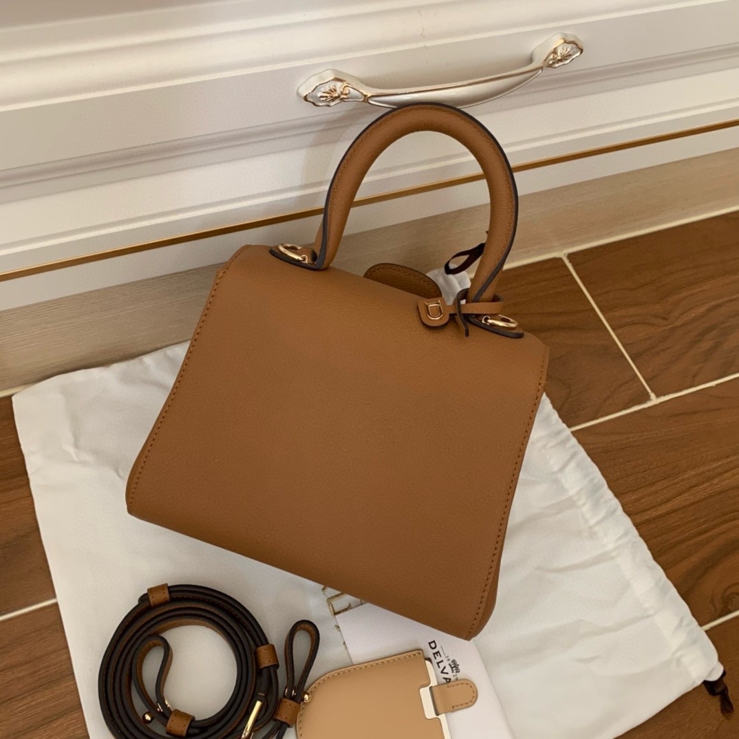 Delvaux Brillant Mini Bag in Brown Rodeo Calf Leather 193