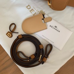 Delvaux Brillant Mini Bag in Brown Rodeo Calf Leather 193