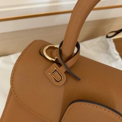 Delvaux Brillant Mini Bag in Brown Rodeo Calf Leather 193