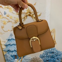 Delvaux Brillant Mini Bag in Brown Rodeo Calf Leather 193