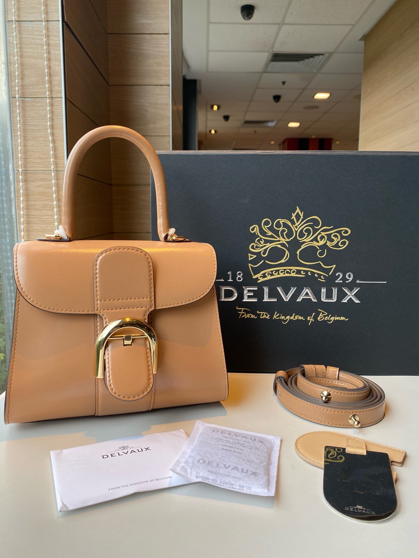 Delvaux Brillant Mini Bag in Tender Beige Box Calf Leather 274