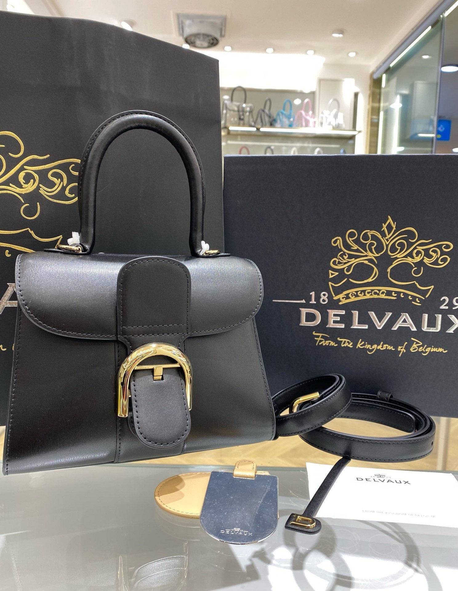 Delvaux Brillant Mini Bag in Black Box Calf Leather 528