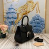 Delvaux Brillant Mini Bag in Black Rodeo Calf Leather 571