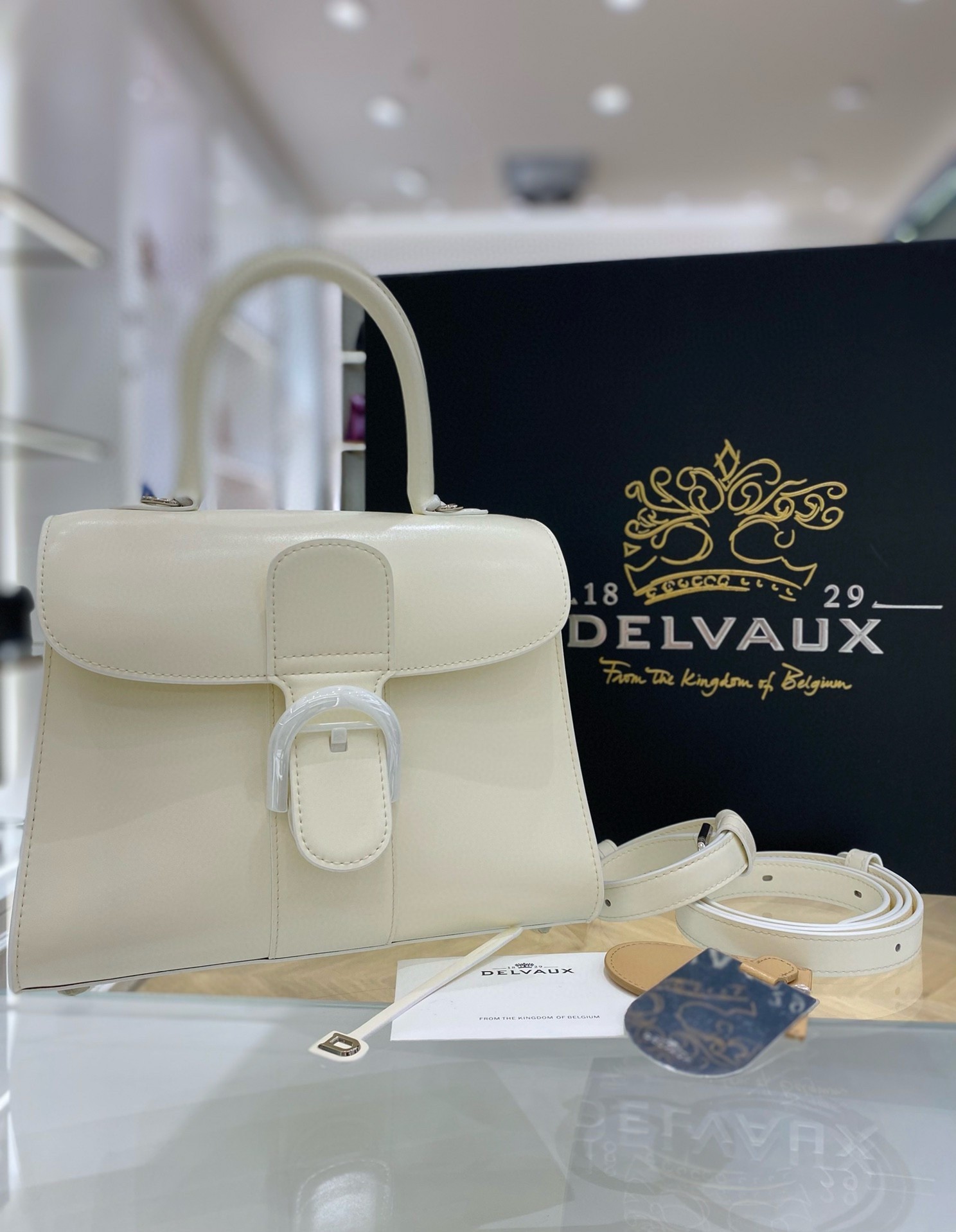 Delvaux Brillant PM Bag in Ivory Box Calf Leather 685