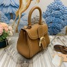 Delvaux Brillant Mini Surpique Bag in Brown Rodeo Calf Leather 716