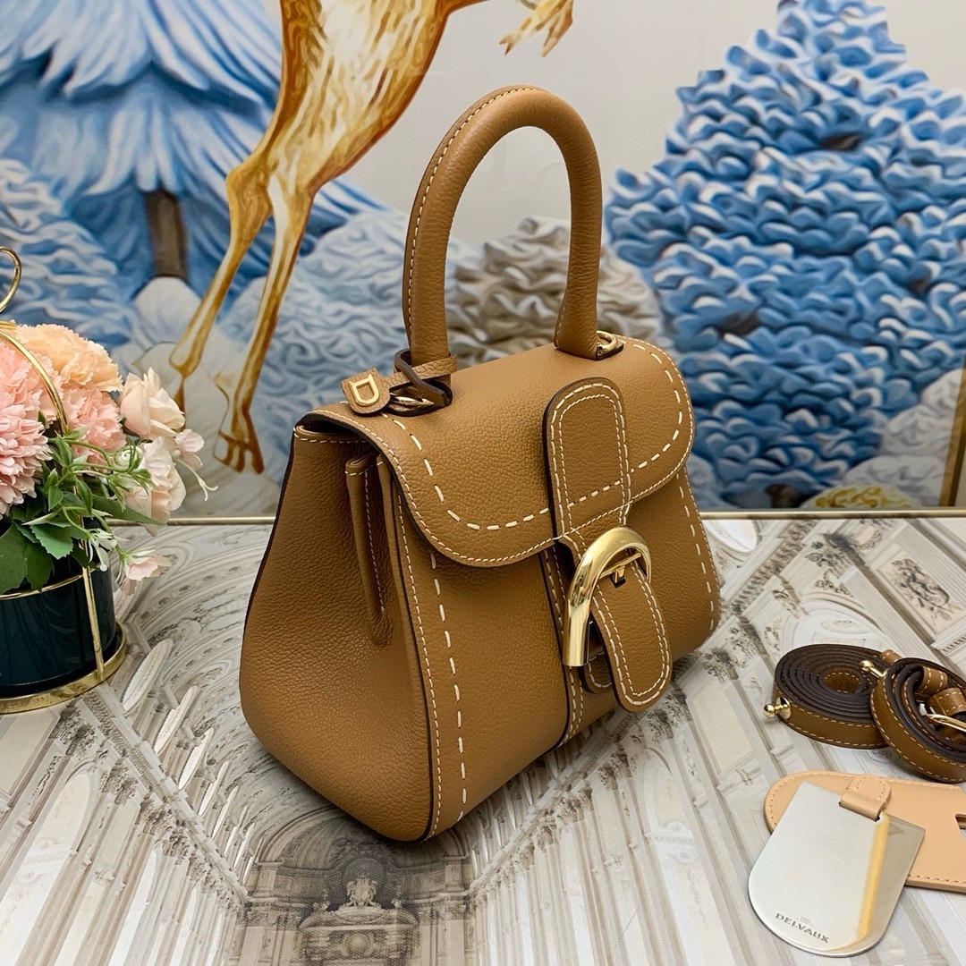 Delvaux Brillant Mini Surpique Bag in Brown Rodeo Calf Leather 716