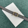 Celine Belt Nano Bag In Grey Grained Calfskin 043