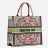 Dior Book Tote Bag In Multicolor Lights Embroidery 209