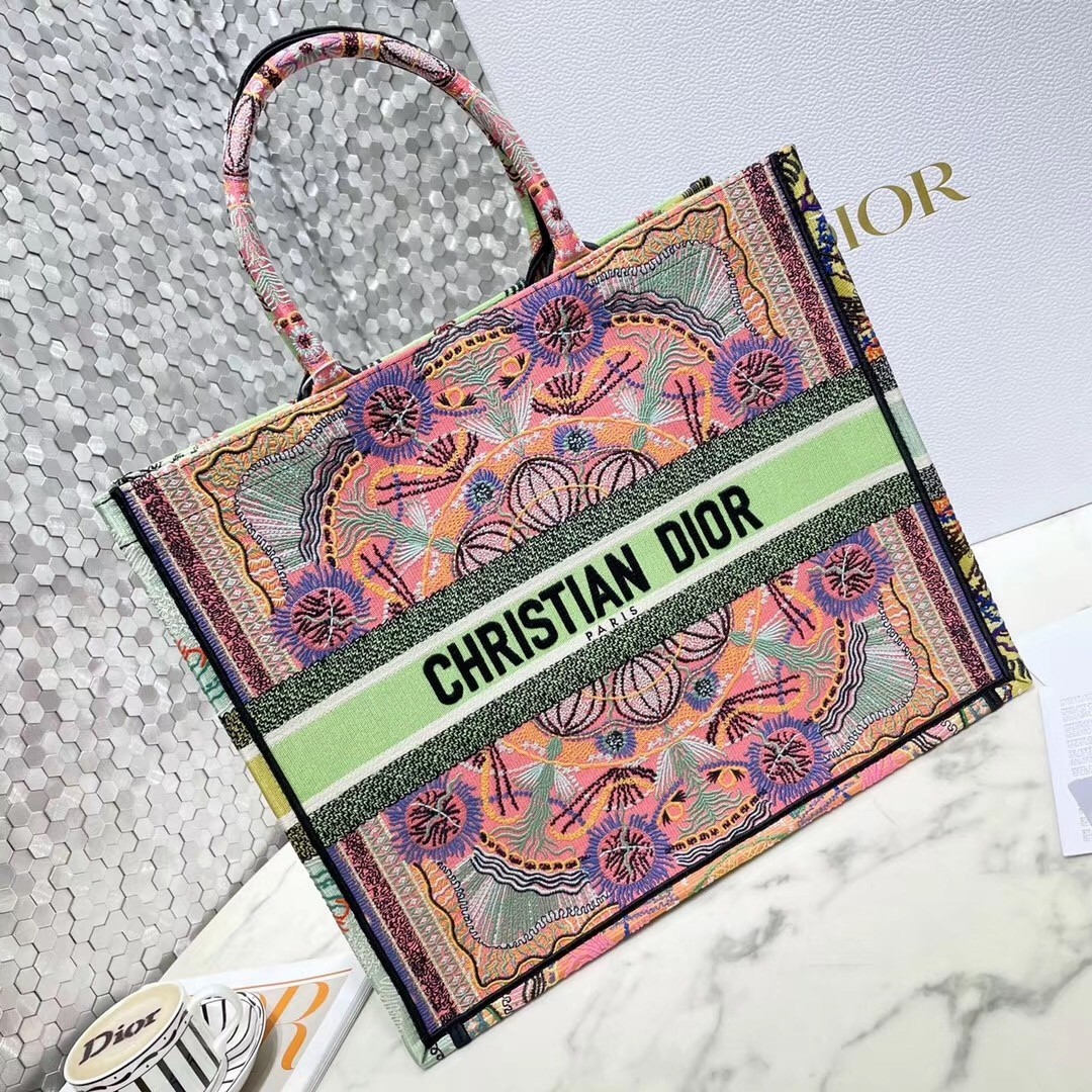 Dior Book Tote Bag In Multicolor Lights Embroidery 209