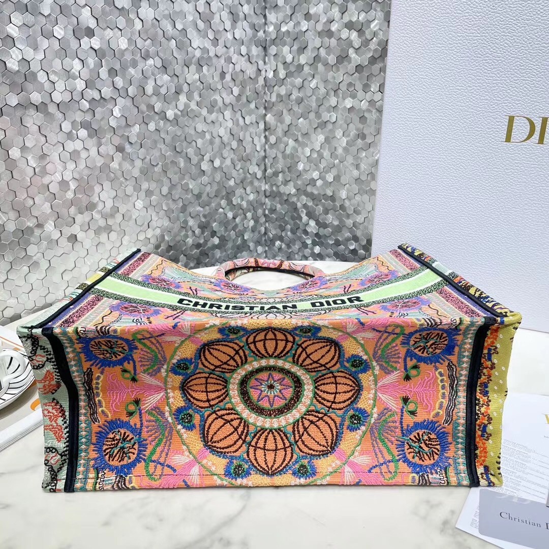 Dior Book Tote Bag In Multicolor Lights Embroidery 209