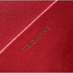 Celine Triomphe Teen Bag In Red Leather 020
