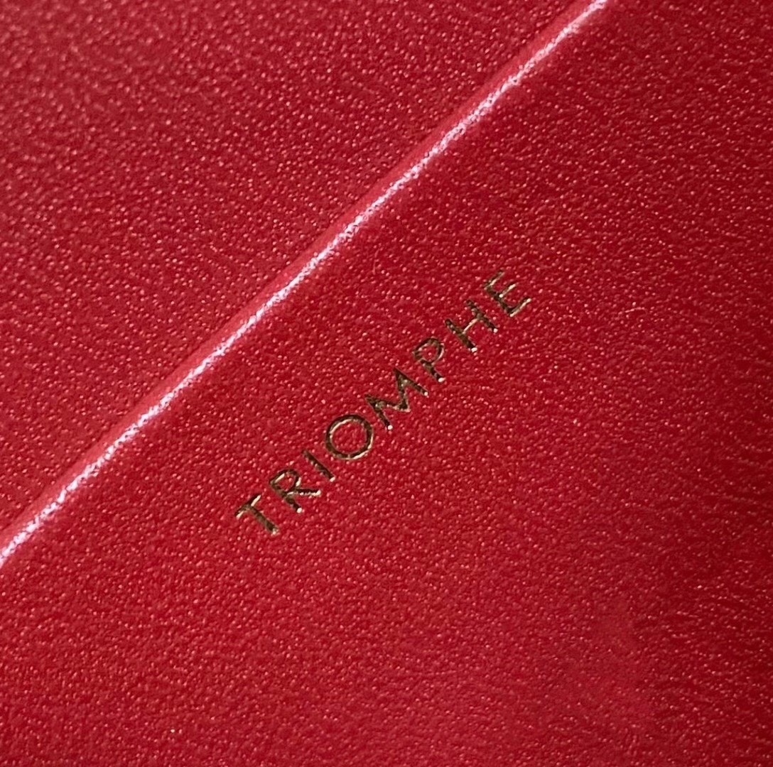 Celine Triomphe Teen Bag In Red Leather 020