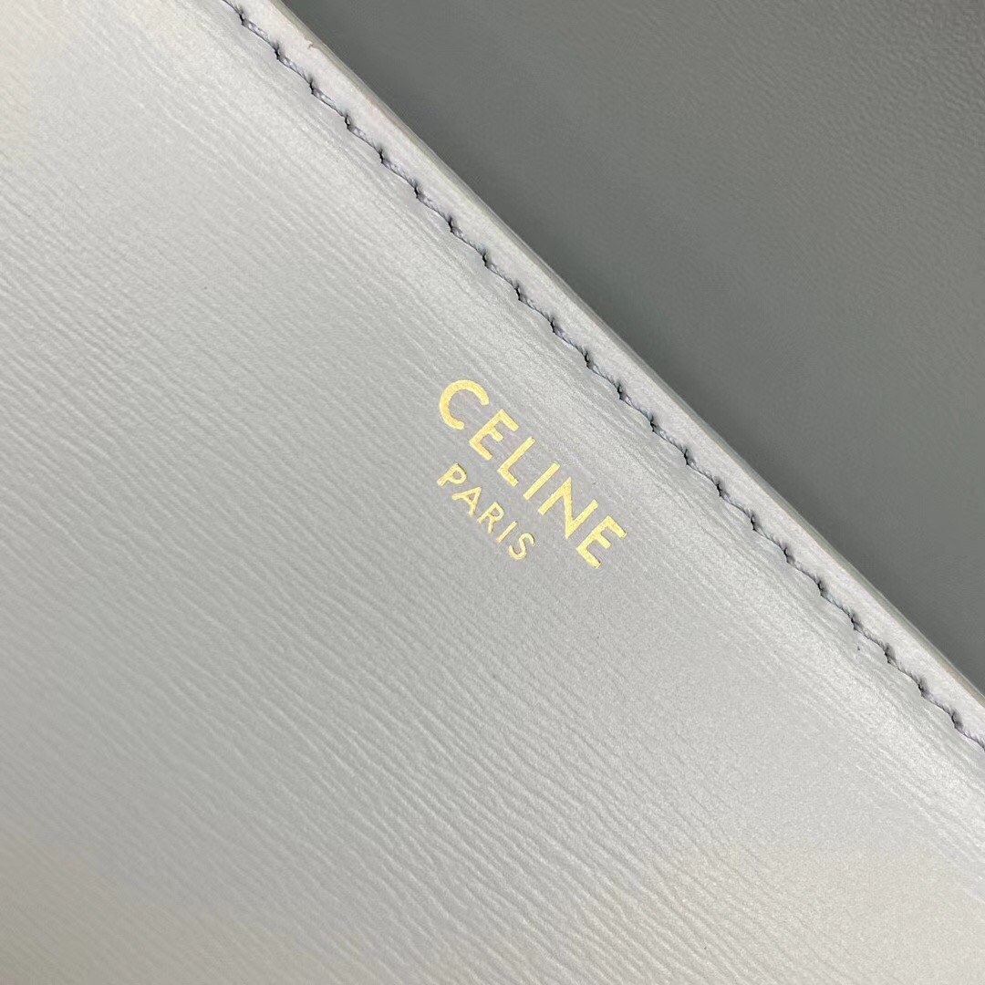 Celine Triomphe Teen Bag In Mineral Leather 946