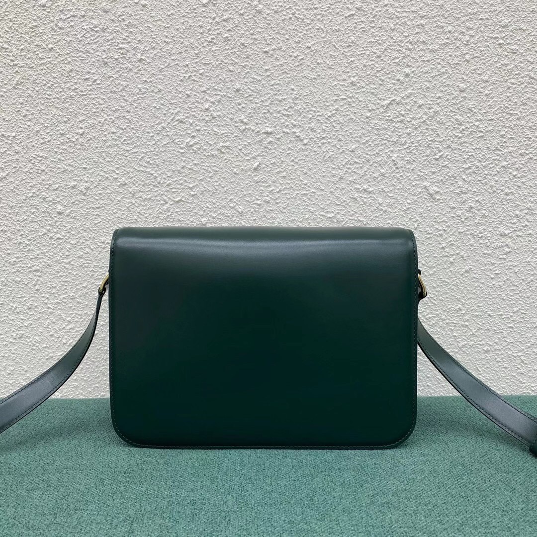 Celine Triomphe Large Bag In Amazone Calfskin 410