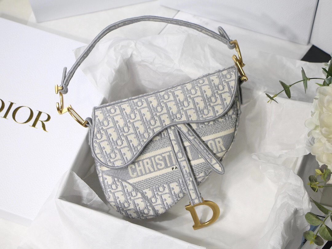 Dior Saddle Bag In Gray Dior Oblique Embroidery 687