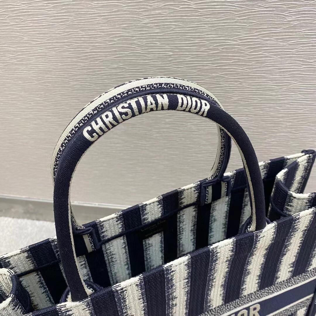 Dior Book Tote Bag In Blue Stripes Embroidery 371