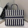 Dior Book Tote Bag In Blue Stripes Embroidery 371