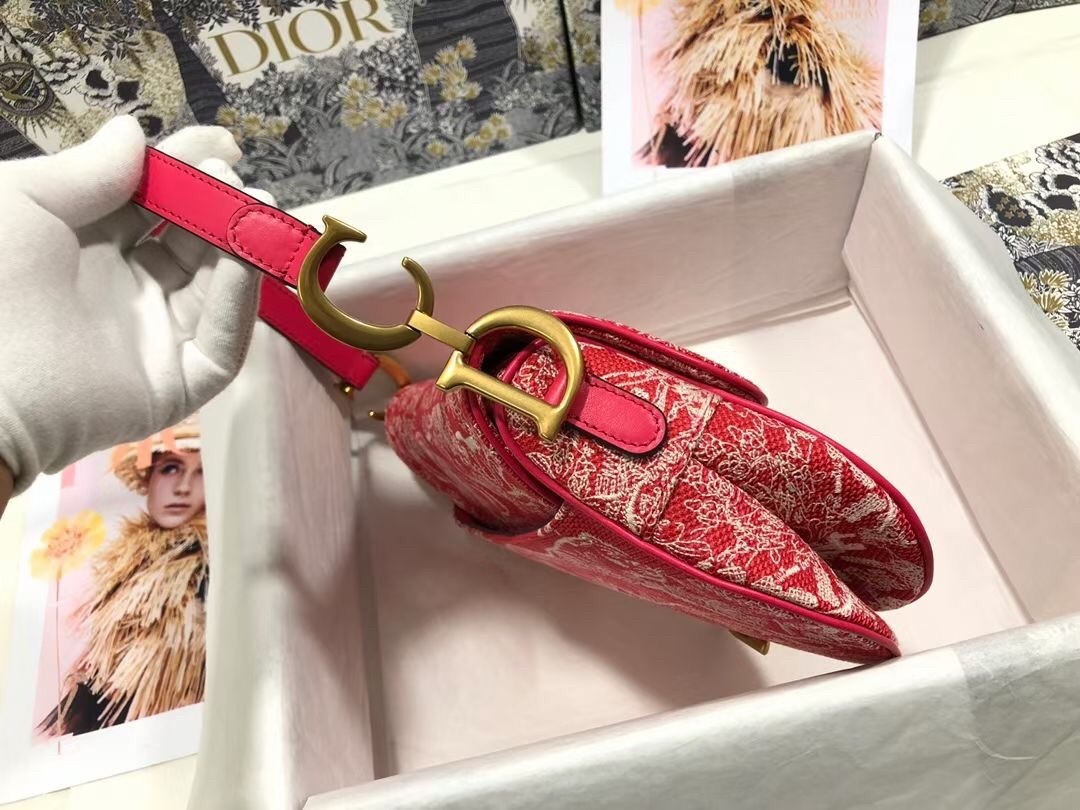 Dior Saddle Bag In Red Toile de Jouy Reverse Jacquard 516