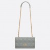 Dior Caro Belt Pouch with Chain In Grey Calfskin 548