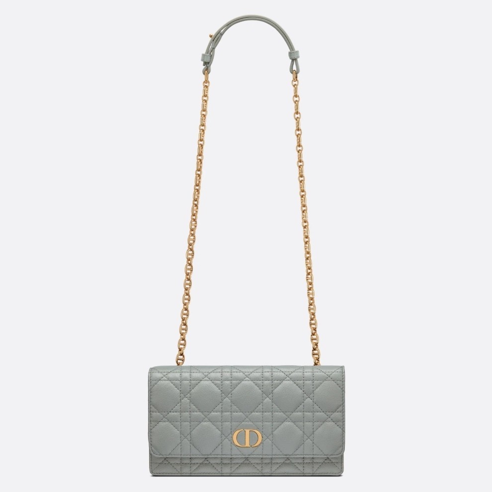 Dior Caro Belt Pouch with Chain In Grey Calfskin 548