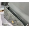 Dior Caro Belt Pouch with Chain In Grey Calfskin 548